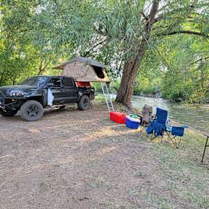 Swift fun camp