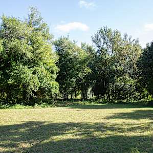 Booyong Farm - Hinterland Hideaway