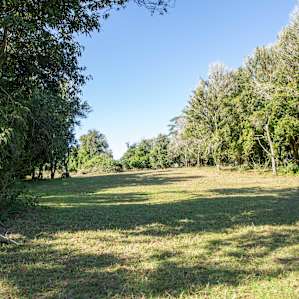Booyong Farm - Hinterland Hideaway