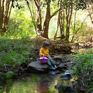 Booyong Farm - Hinterland Hideaway