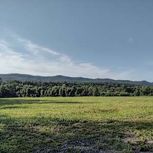 View from the porta potty!