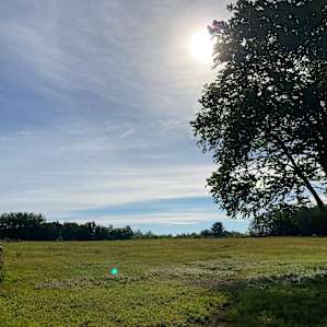 Lovely sunrise at our camp