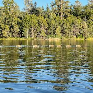 B4 - Lake View Camping Finnon Lake