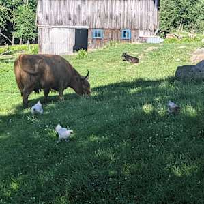 So many animals living their best life. Amazing!