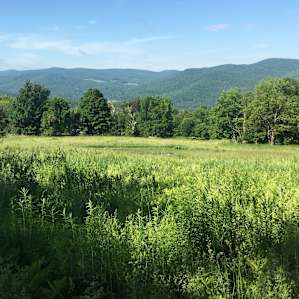 The beautiful meadow and mountain views at HOWL.