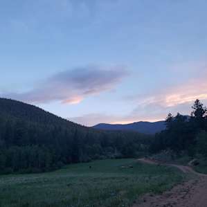 The road that loops around the property