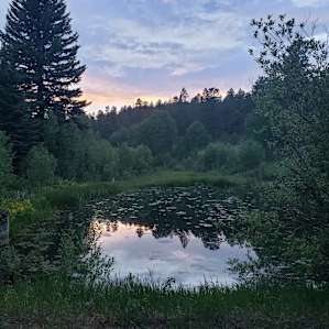 The pond near the entrance close to the Wild Rose camping spot
