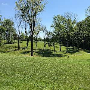 Pristine five acres.