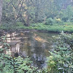 Mountain River Tiny House cabin