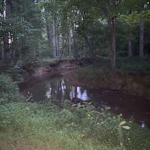 Bearskin Creek “bare skin creek”