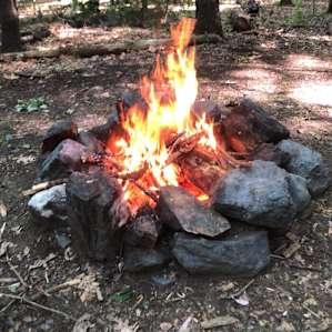 Bear's Den