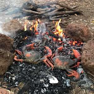 Fresh caught crabs cooked on coals.