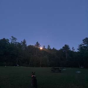 Barn Door Hostel - Campground