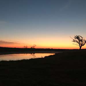 Sunset over the cow pond.