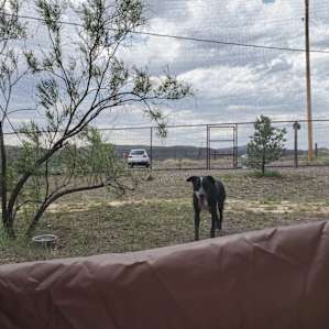 Tent Camp at Historic Lodge