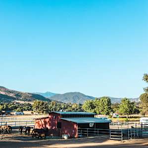 Katy’s Farm