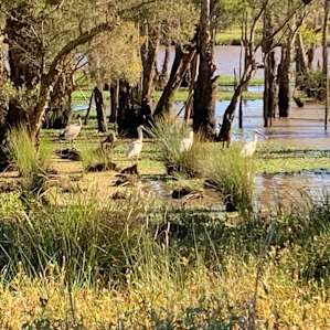 Lakestead Farm - Central Coast