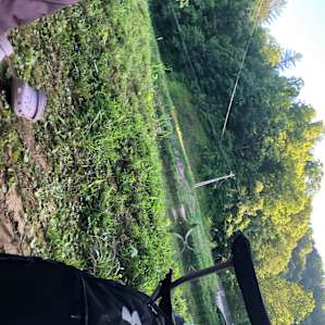Rusty's Roost Tent Camp Sites π