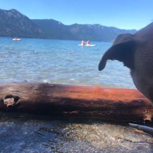 Enjoying Lake Cle Elum for a day trip in the area.