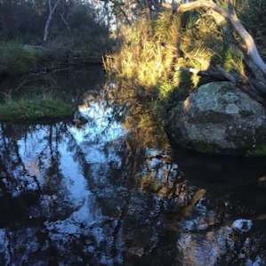 Jindalee River Camp Site 1