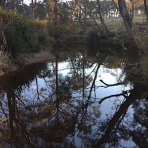 Jindalee River Camp Site 1