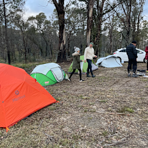 Wolgan Valley Paddock Site