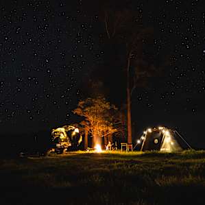 Dairy Camp - Swing View