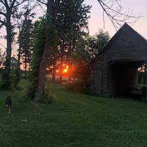 Prairie View camp sunset and fetch with Cynthia’s pup Embers 😍