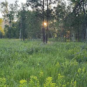 God's Country Camping