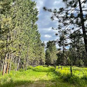 God's Country Camping