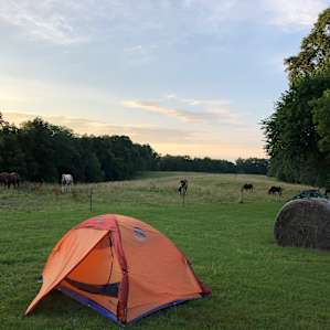 Selby Farm tent sites