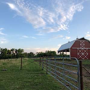 Selby Farm tent sites