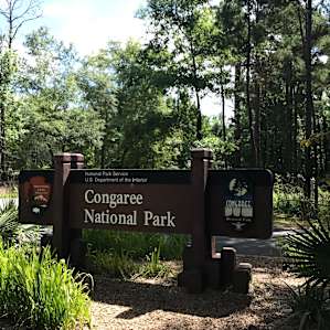 15-20 minutes from Congaree NP. V