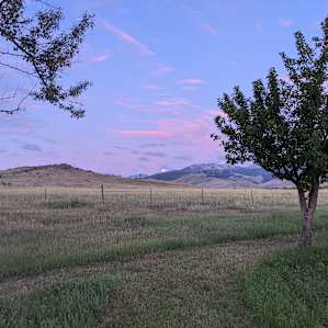 Sunrise