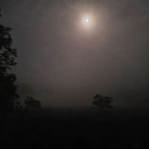 Spooky night at the meadow site for scary stories