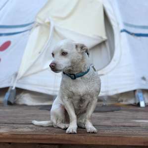 SUN tipi