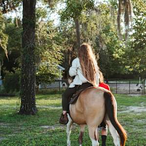 Enjoying the horses! This property is perfect for horse owners or lovers!