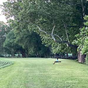Overnight Farm Camp