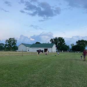 Overnight Farm Camp