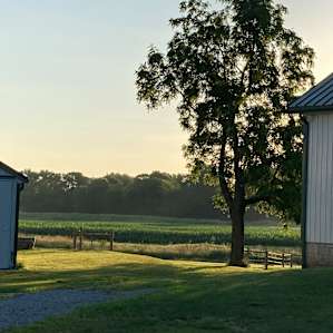 Overnight Farm Camp