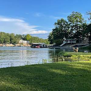Lake of the Ozarks Indian Oak Trees