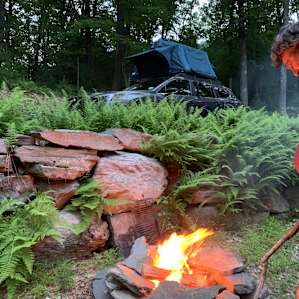 Forest camp