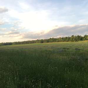 Camping at Feel Good Farm
