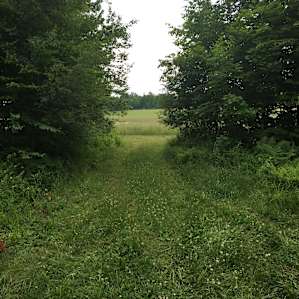 Camping at Feel Good Farm