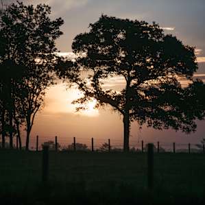 Wake up and enjoy the sunrise on Margret's land!