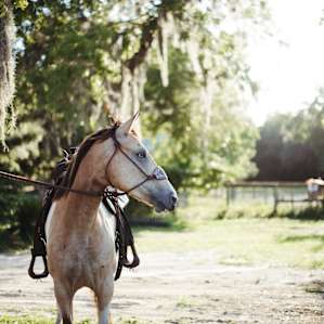 Beautiful place to enjoy the country of Florida.
