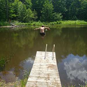 Cabin by the pond at Plumbroke Farm
