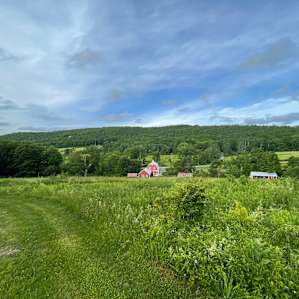 Tent camping on a woodland farm