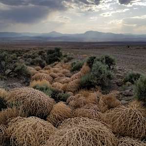 Ravens Nest Utah