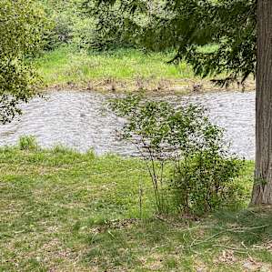Right by the river
